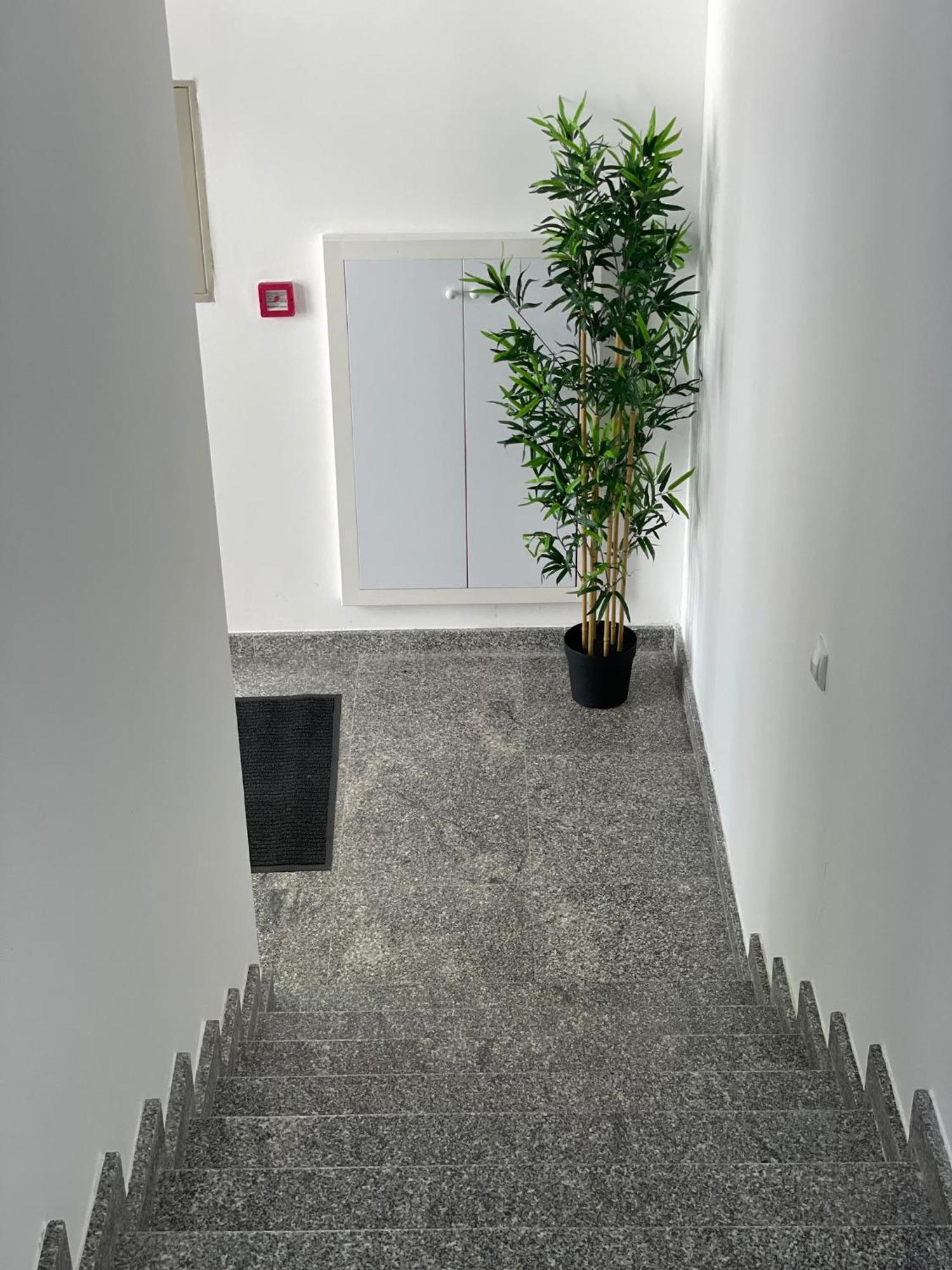 Morpheus Apartmani Sremska Mitrovica Exterior foto